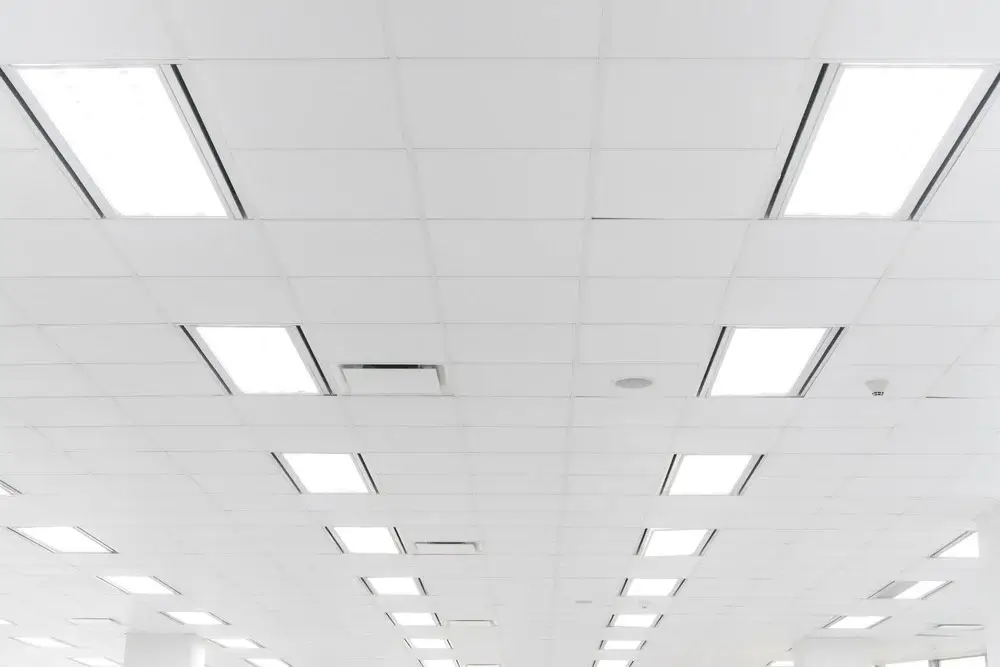 Ceiling Installation in Adelaide by Royale Maintenance